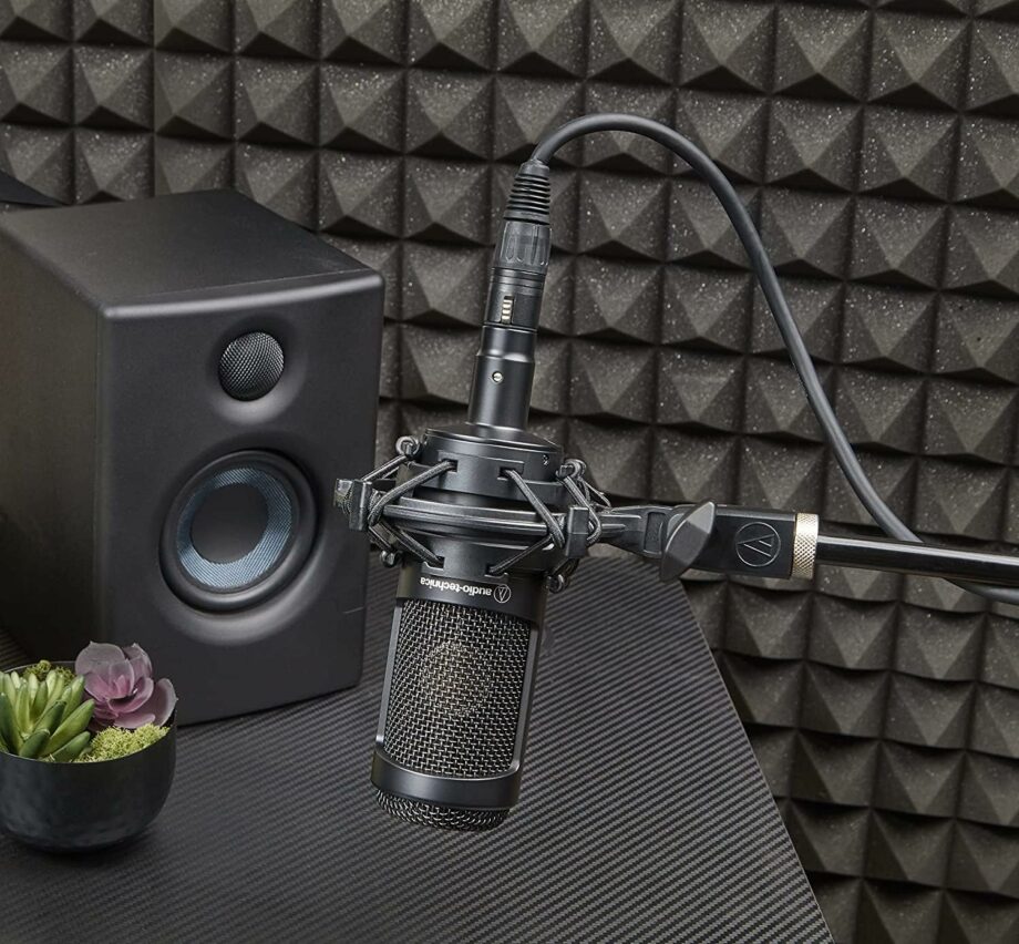 Audio-Technica AT2035 Cardioid Condenser Microphone with Custom Shock Mount