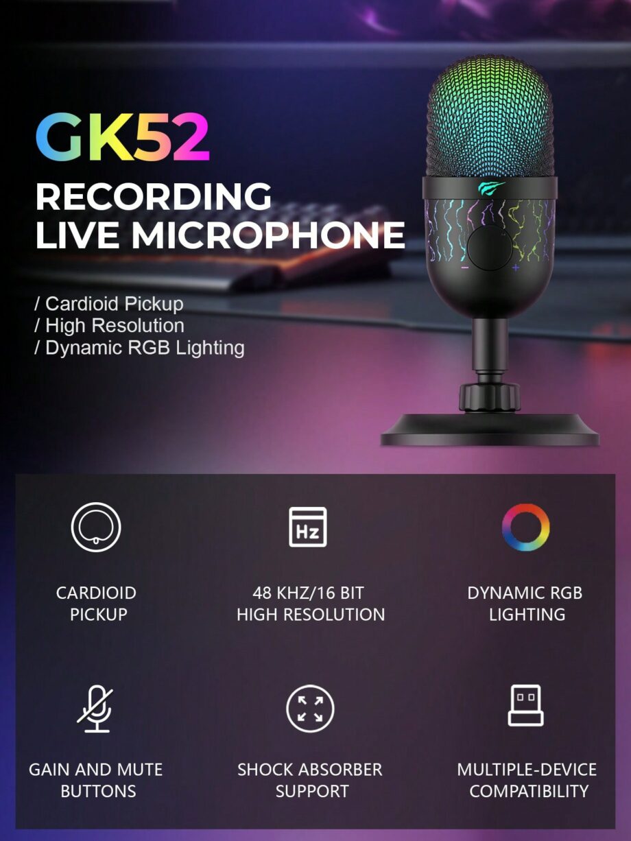 Havit GK52 RGB Live Recording Microphone