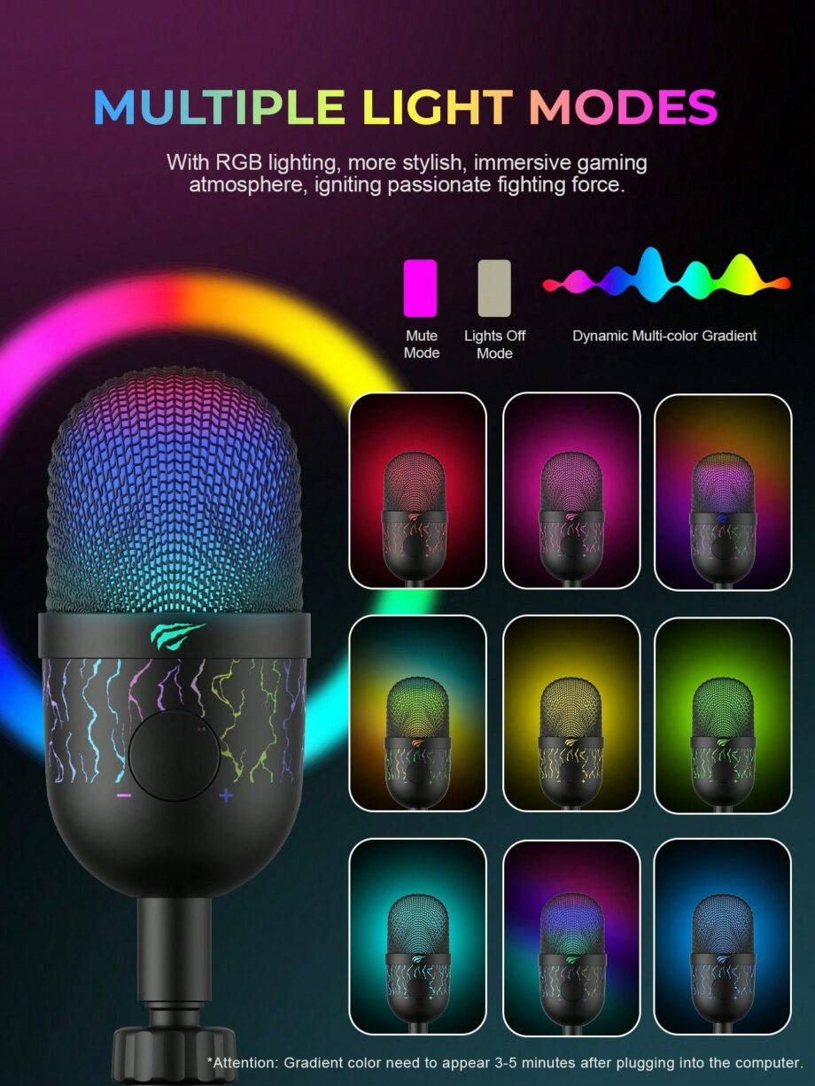 Havit GK52 RGB Live Recording Microphone
